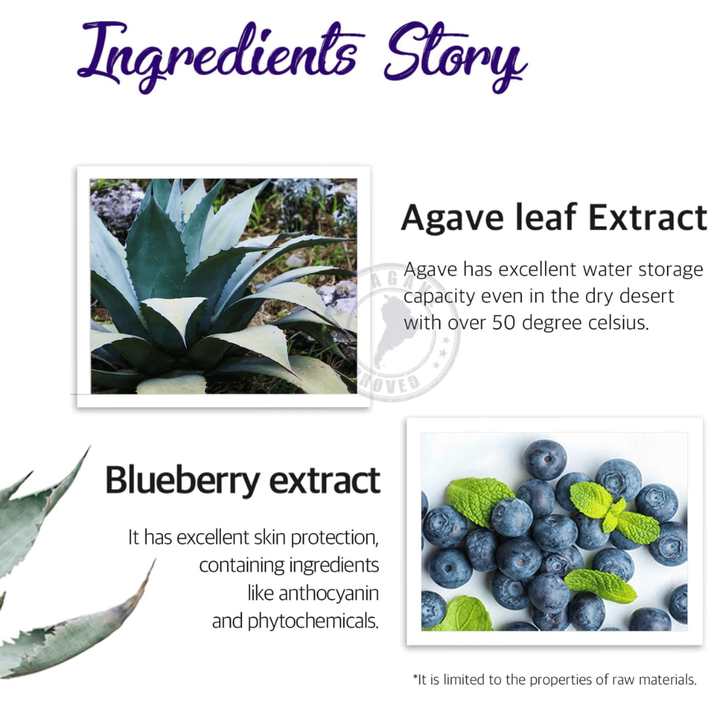 Informatieafbeelding over ingrediënten zoals agavebladextract en bosbessenextract. De focus ligt op hydratatie, huidbescherming en verzorgende eigenschappen van plantaardige ingrediënten.