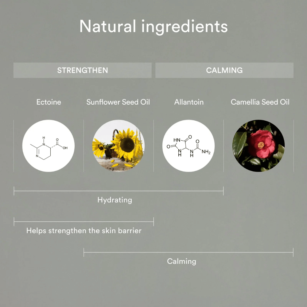 De afbeelding toont natuurlijke ingrediënten die de huid versterken en kalmeren: Ectoin en zonnebloemolie helpen de huid te hydrateren en de huidbarrière te versterken, terwijl allantoïne en cameliazaadolie gevoelige huid kalmeren en beschermen.