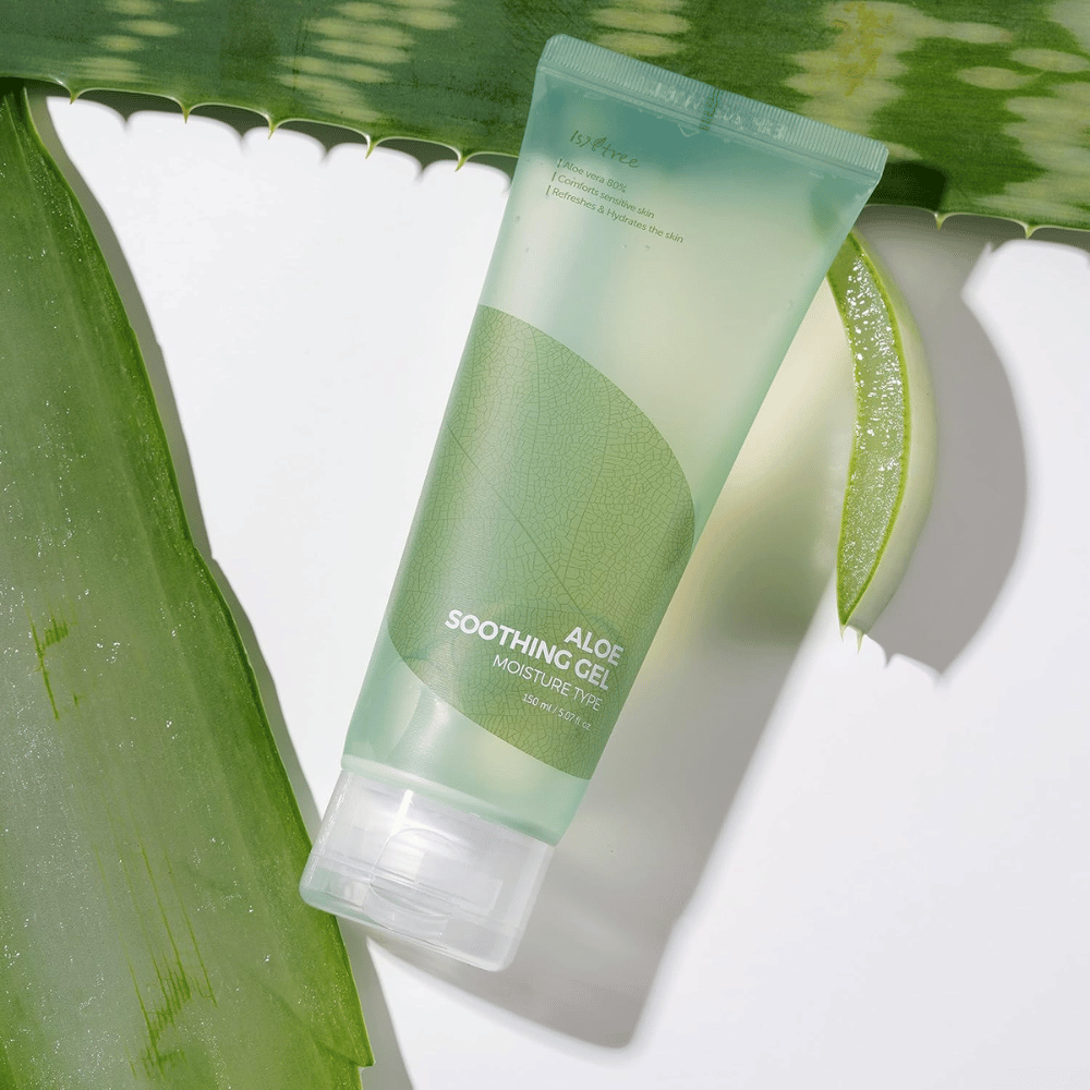 Isntree Aloe Soothing Gel Moisture Type – hydraterende gel met 80% aloë vera, gefotografeerd met verse aloëbladeren