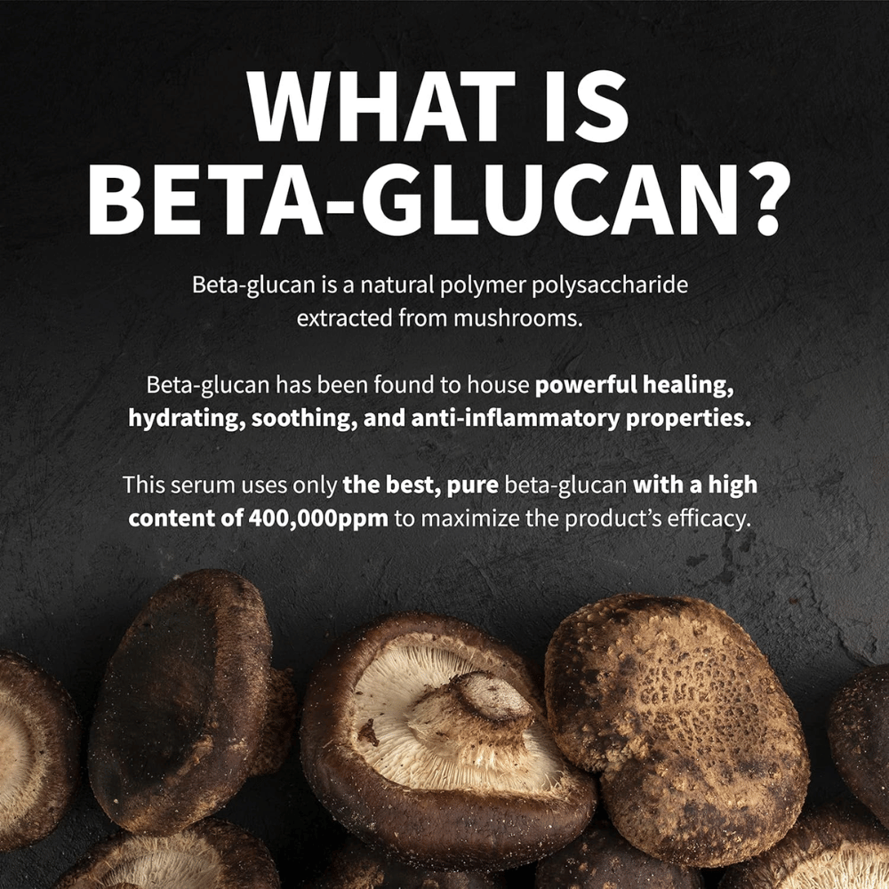 Informatieve afbeelding die uitlegt wat bèta-glucaan is. De afbeelding toont paddenstoelen als grondstofbron en beschrijft bèta-glucaan als een ingrediënt met hydraterende, kalmerende en huidverzorgende eigenschappen.