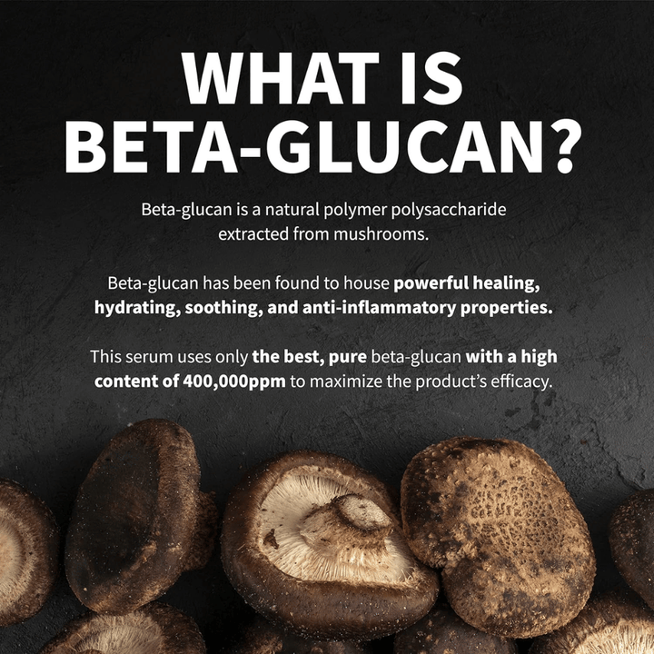 Informatieve afbeelding die uitlegt wat bèta-glucaan is. De afbeelding toont paddenstoelen als grondstofbron en beschrijft bèta-glucaan als een ingrediënt met hydraterende, kalmerende en huidverzorgende eigenschappen.