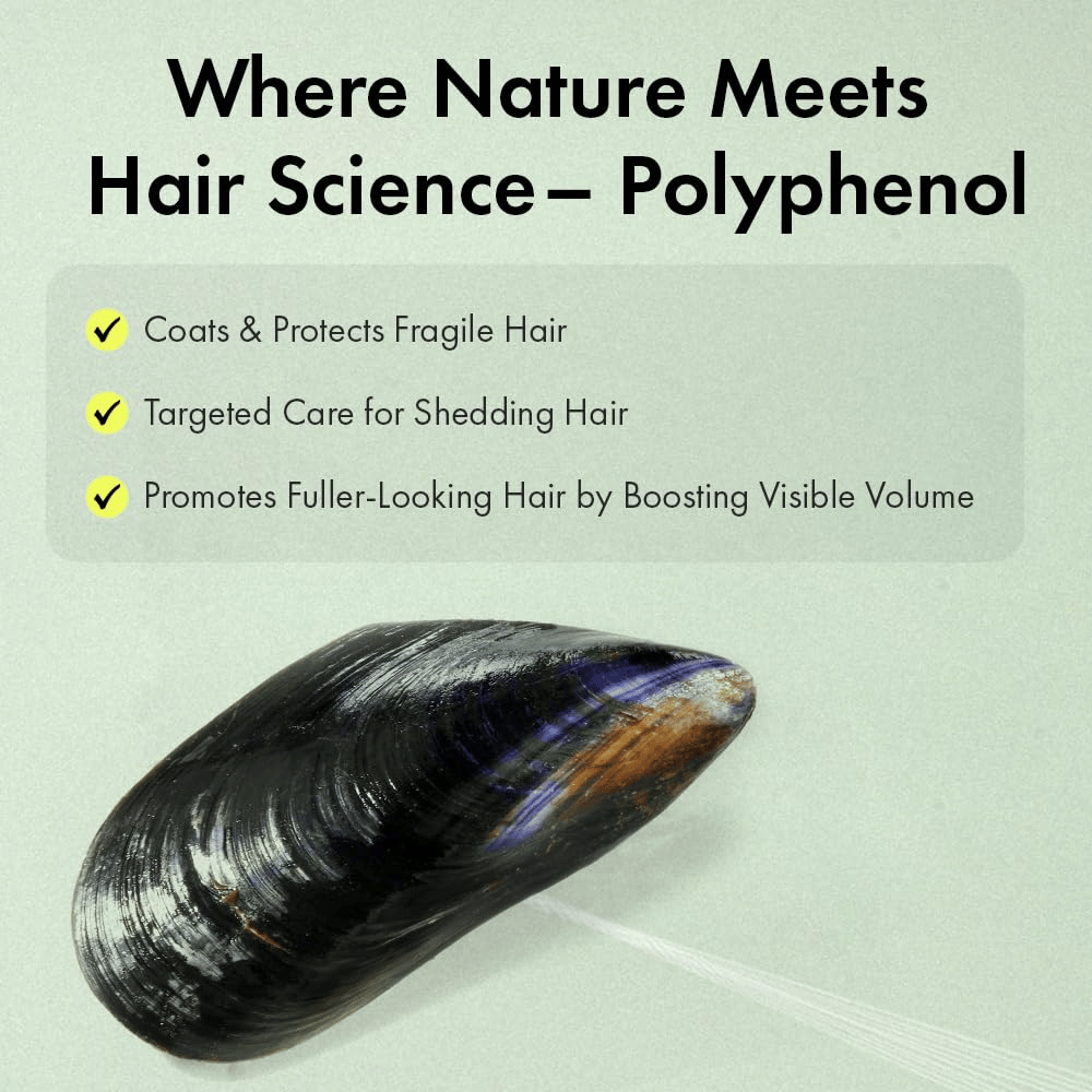 Illustratie van polyfenoltechnologie die helpt kwetsbare haarstrengen te beschermen, haar te verzorgen dat dunner aanvoelt en bij te dragen aan voller haar met meer zichtbare volume.