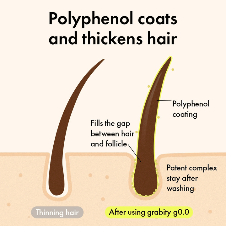 Diagram dat laat zien hoe polyfenolen de haarstreng omhullen en de ruimte bij de haarwortel opvullen om na het wassen een vollere en dikkere uitstraling te geven.