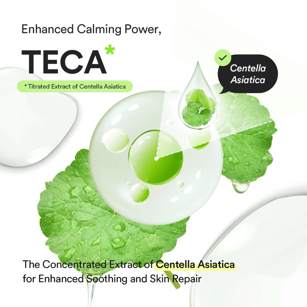 Grafische ingrediëntenafbeelding die TECA en Centella Asiatica uitlicht met focus op kalmerende eigenschappen en ondersteuning van huidherstel en de huidbarrière.