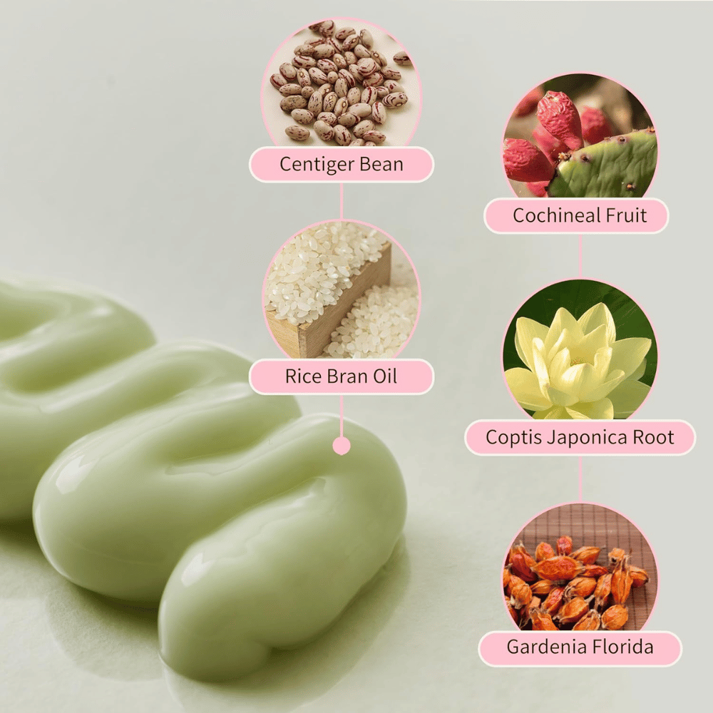 Beauty of Joseon Jello Skin Massage Cream met niacinamide, rijstzemelolie, gardenia, coptis japonica en plantenextracten voor een gehydrateerde huid.