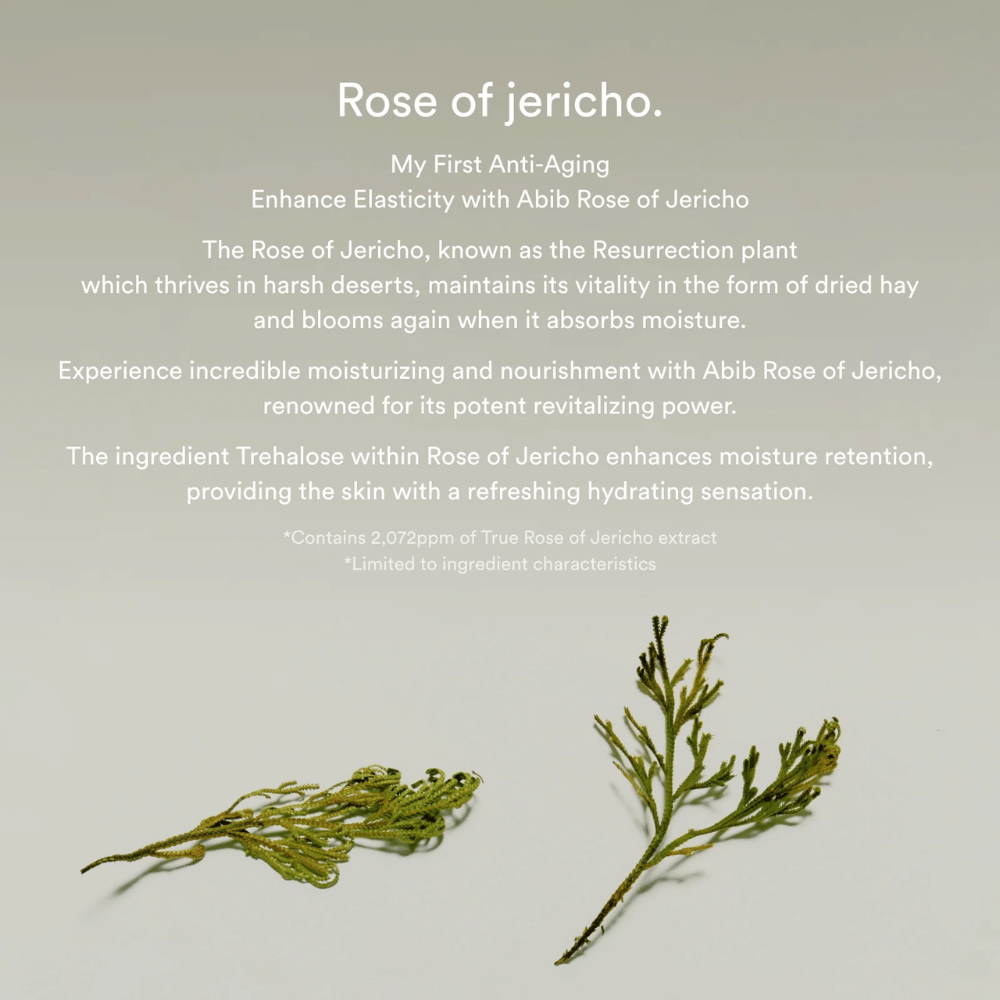 Informatieve afbeelding over Rose of Jericho-extract die de hydraterende en revitaliserende eigenschappen van de plant voor de huid beschrijft.