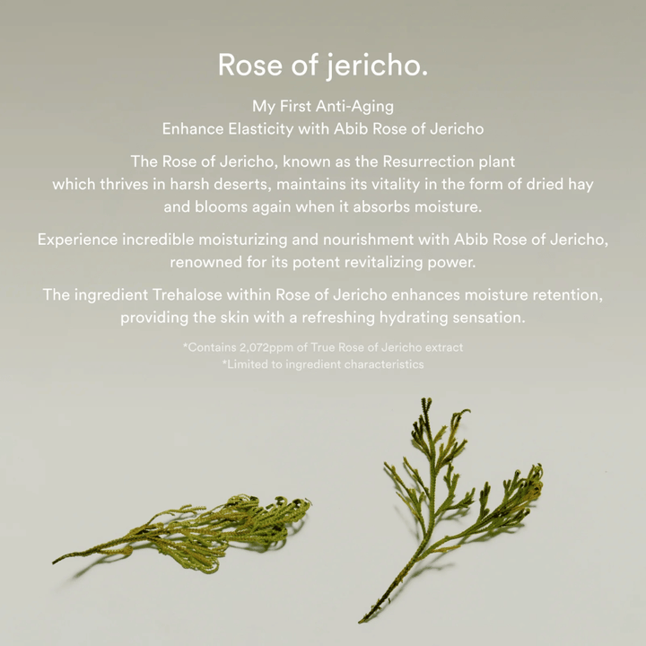 Informatieve afbeelding over Rose of Jericho-extract die de hydraterende en revitaliserende eigenschappen van de plant voor de huid beschrijft.