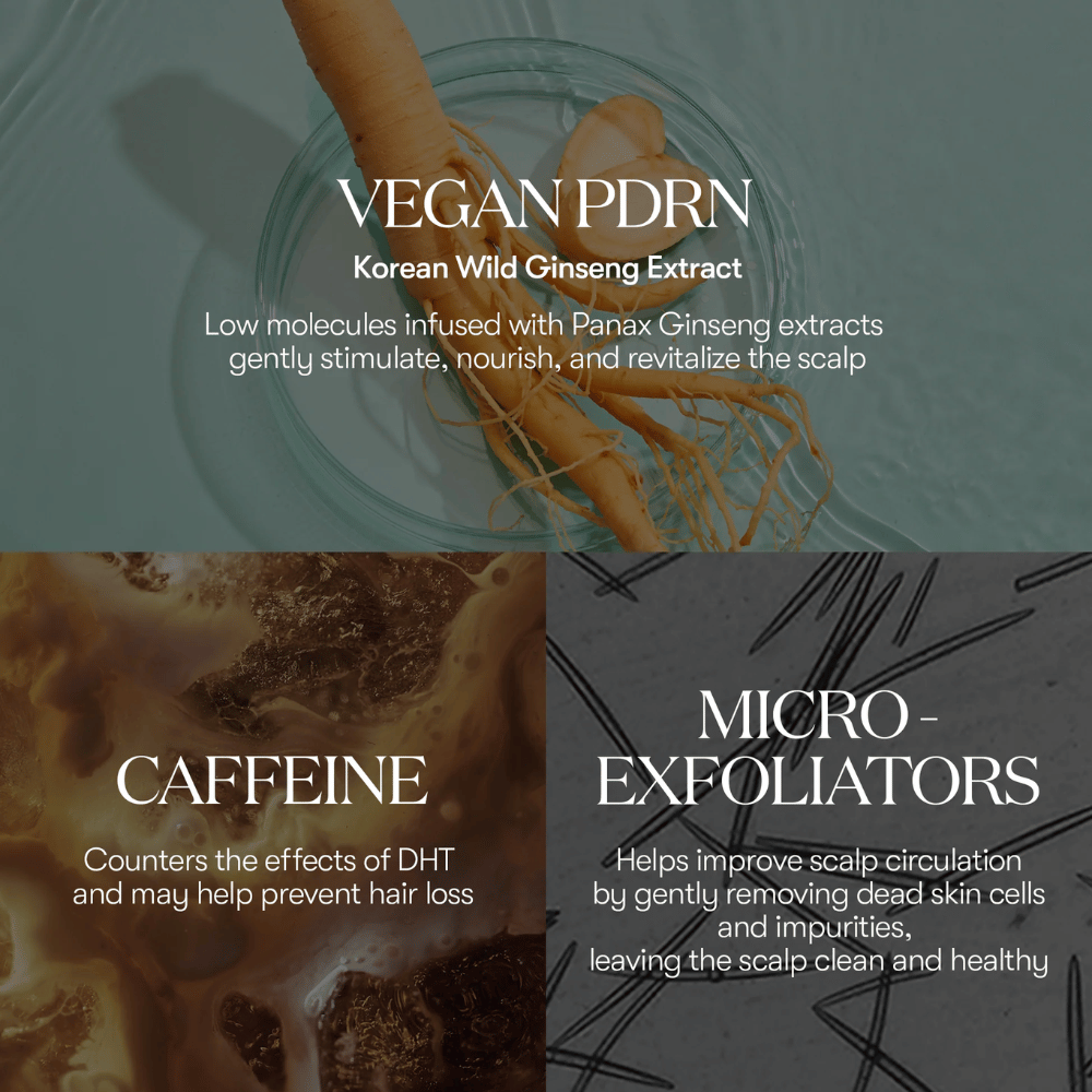 Illustratie van actieve ingrediënten in PDRN Reedle Shot Hair Ampoule 100dL met veganistische PDRN van Koreaanse wilde ginseng, cafeïne en micro-exfoliators die de hoofdhuid verzorgen en revitaliseren.
