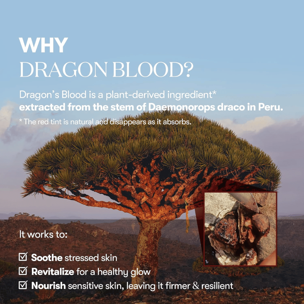 Illustratie van de Dragon's Blood-boom (Daemonorops draco) in Peru, ingrediënt in VT Red Booster Reedle Shot 100 die gestreste huid kalmeert, de huidbarrière versterkt en een frisse glans geeft.