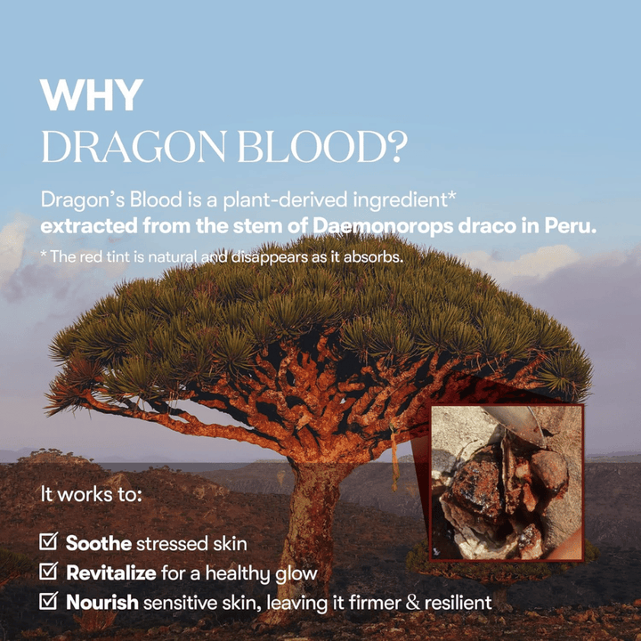 Illustratie van de Dragon's Blood-boom (Daemonorops draco) in Peru, ingrediënt in VT Red Booster Reedle Shot 100 die gestreste huid kalmeert, de huidbarrière versterkt en een frisse glans geeft.