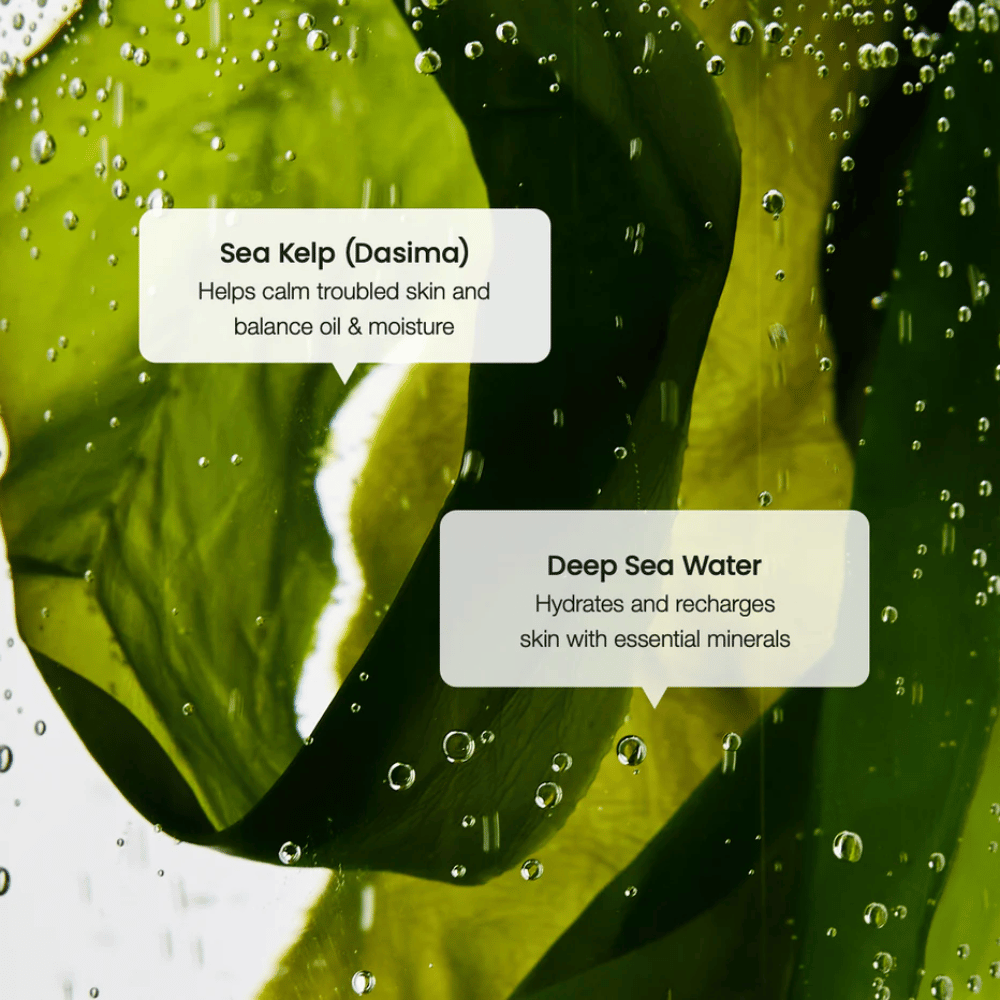 Zeewierextract en diepzeewater in Biodance Refreshing Sea Kelp Serum – hydrateert en balanceert de huid.