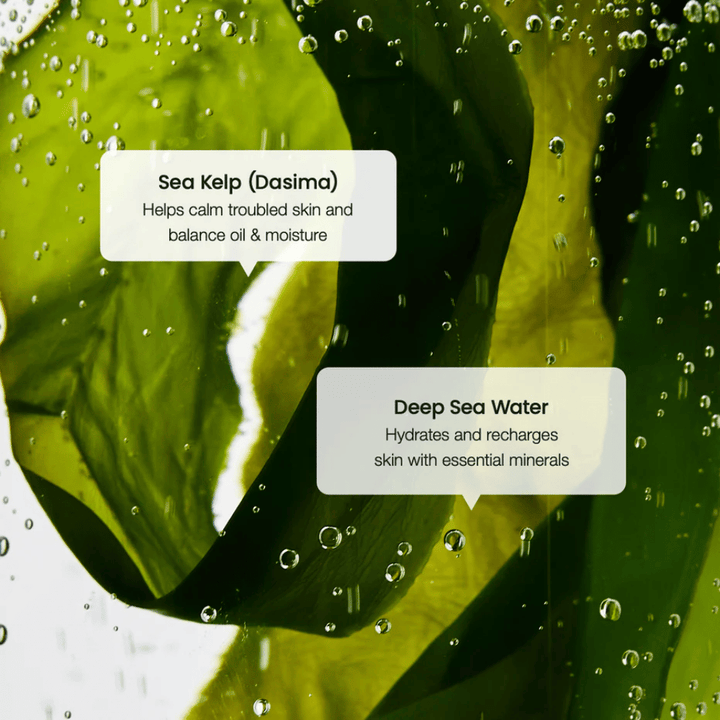 Zeewierextract en diepzeewater in Biodance Refreshing Sea Kelp Serum – hydrateert en balanceert de huid.